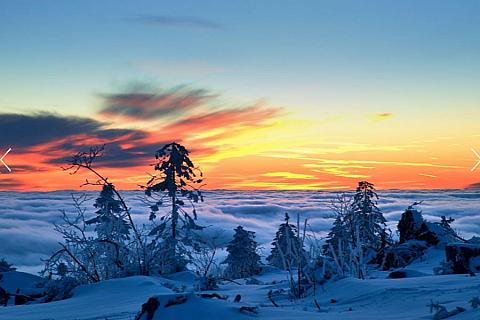 Národní park Šumava