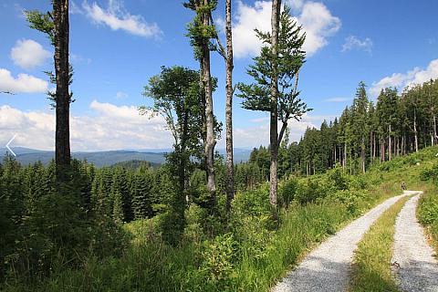 Lipno - zimní motiv