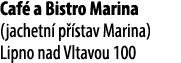 Caf a Bistro Marina (jachetn  p  stav Marina) Lipno nad Vltavou 100