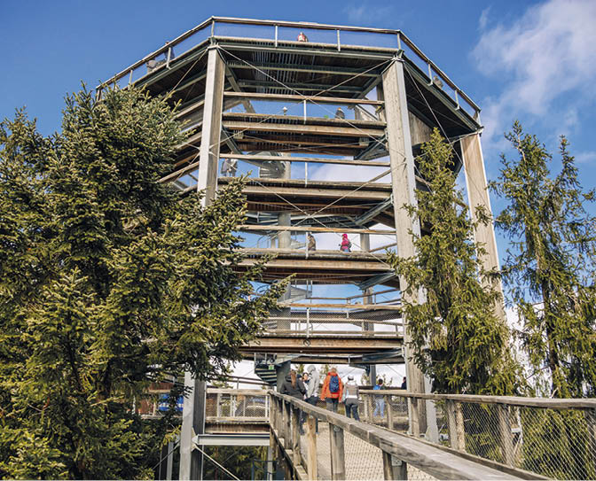 Treetop Walkway (Stezka korunami stromu) in sunny day Lipno nad Vltavou, South Bohemia, Czech Republic, September 27, 2020