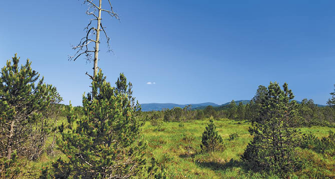 Kniha “VLTAVA - Libor Svacek" - vydani 1., rok 2011 Photographer: Libor Svacek; box@fotosvacek.cz; Mobile: +420 602428001; 