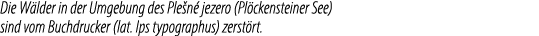 Die W lder in der Umgebung des Ple n jezero (Pl ckensteiner See) sind vom Buchdrucker (lat. Ips typographus) zerst rt.