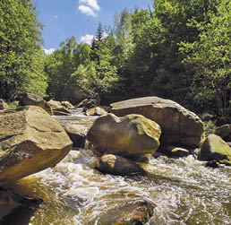Fotografoval: Libor Svacek, Kaplicka 447, Cesky Krumlov, 381 01 CZ