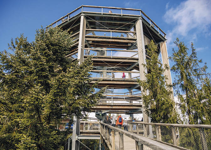 Treetop Walkway (Stezka korunami stromu) in sunny day Lipno nad Vltavou, South Bohemia, Czech Republic, September 27, 2020