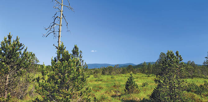 Kniha “VLTAVA - Libor Svacek" - vydani 1., rok 2011 Photographer: Libor Svacek; box@fotosvacek.cz; Mobile: +420 602428001; 